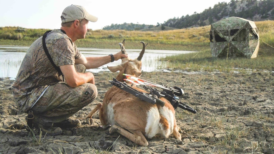 Avoid These Pitfalls While Bowhunting Prairie Pronghorn