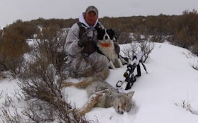 Field Tested: What to Wear When Hunting Snowbound Coyotes