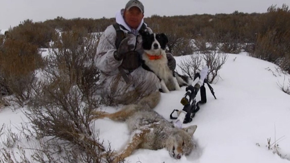Field Tested: What to Wear When Hunting Snowbound Coyotes
