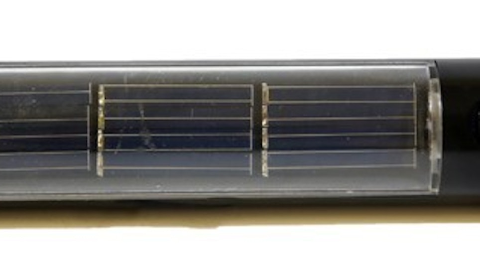 LifeLong Solar-Powered Compact Pocket Flashlight
