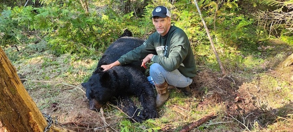 Trapping Ursus Americanus — Aka the Black Bear