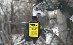 Making Sense of Coyote Scents