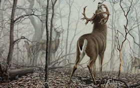 My Favorite Whitetail Painting of All Time