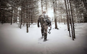 Late-Season Bow Tactics for Whitetails