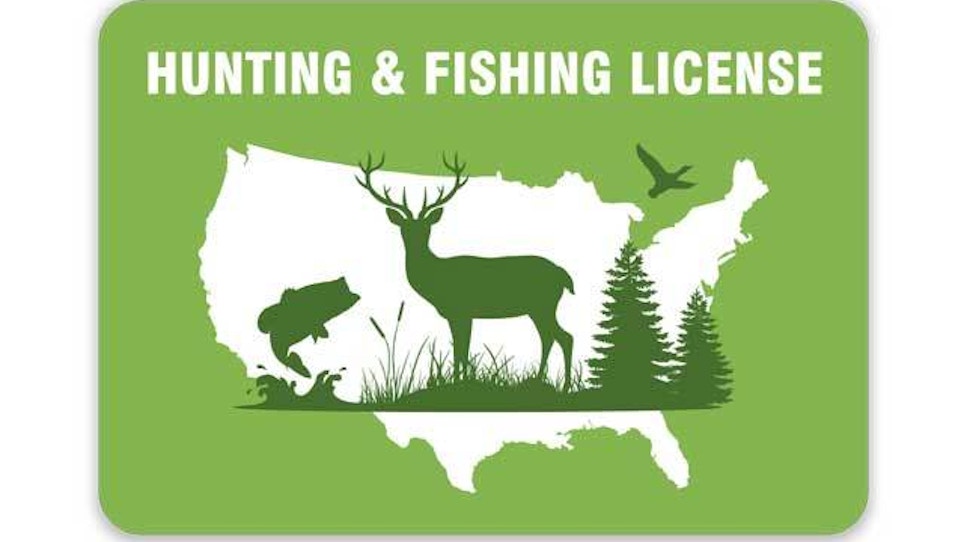 Applications For Bear, Elk Hunting Licenses Now Available