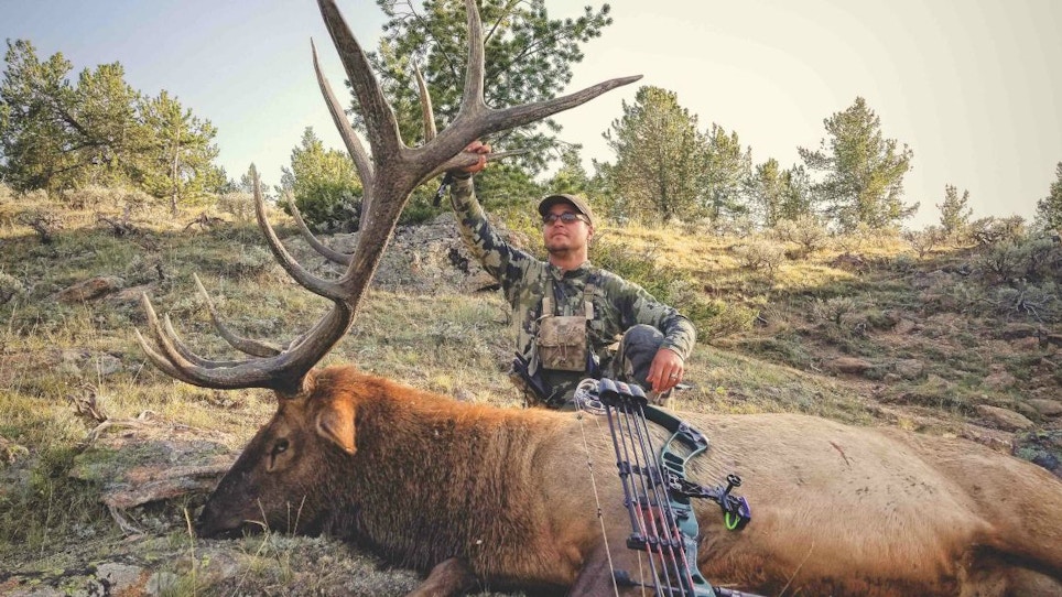 Life Lessons — And the Story Behind a Goliath Elk