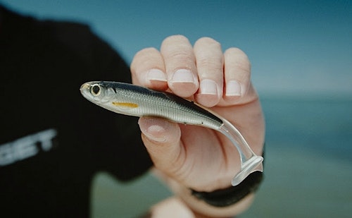 Of the thousands of new products on display at the 2019 ICAST Show, the author chose LiveTarget ICT soft plastic lures as his favorite.