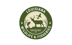 Louisiana Deer Harvest Up 10 Percent Over Last Season