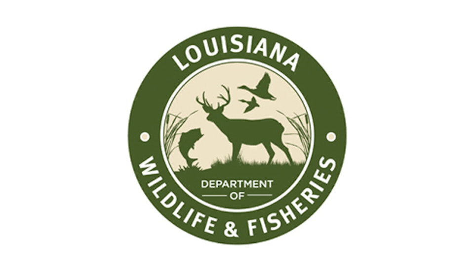 Louisiana Deer Harvest Up 10 Percent Over Last Season