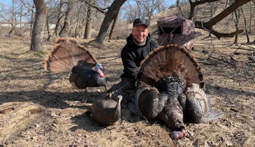 Wild Turkey Tip: Consider A Gobbler’s Personality