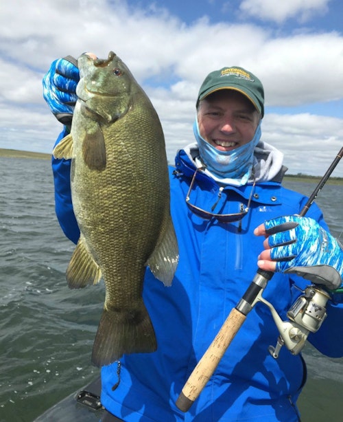 One of several thick-bodied spring smallmouth bass caught by the author and his son on a recent roadtrip to South Dakota. Prior to release, this fish weighed 4 pounds 9 ounces on a digital scale. The author wore fishing gloves for the first time this day, and they kept his hands warm, protected from the sun, and tough fabric prevented the fish from tearing up his hands.