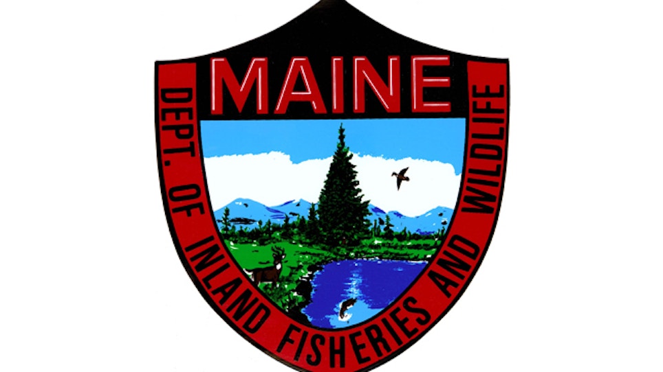 Smelt fishing is banned in parts of Maine