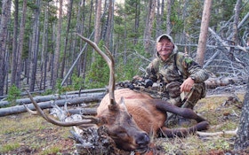 An Extreme Bowhunt For Public-Land Elk