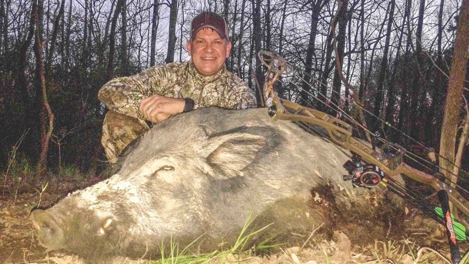 3 Tips for Bowhunting Huge Hogs