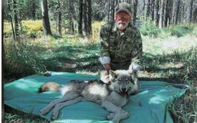 A Wolf Hunter Gets Charged By Wolves
