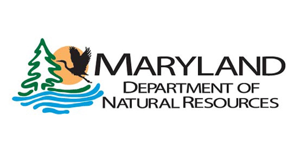 Maryland considers changing black bear hunt