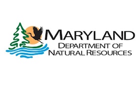 Maryland may adopt conventional season for bear hunts