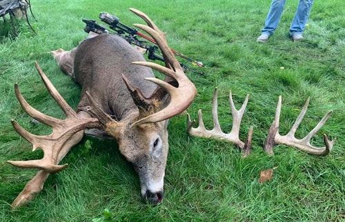Shown to the right of Matt’s massive 2019 buck are the sheds from last year, which would have scored about 160 inches (assuming a standard spread). The buck grew 40 more inches of antler from 2018 to 2019.
