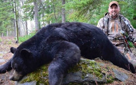 Black Bears: How to Arrow a Spring Giant
