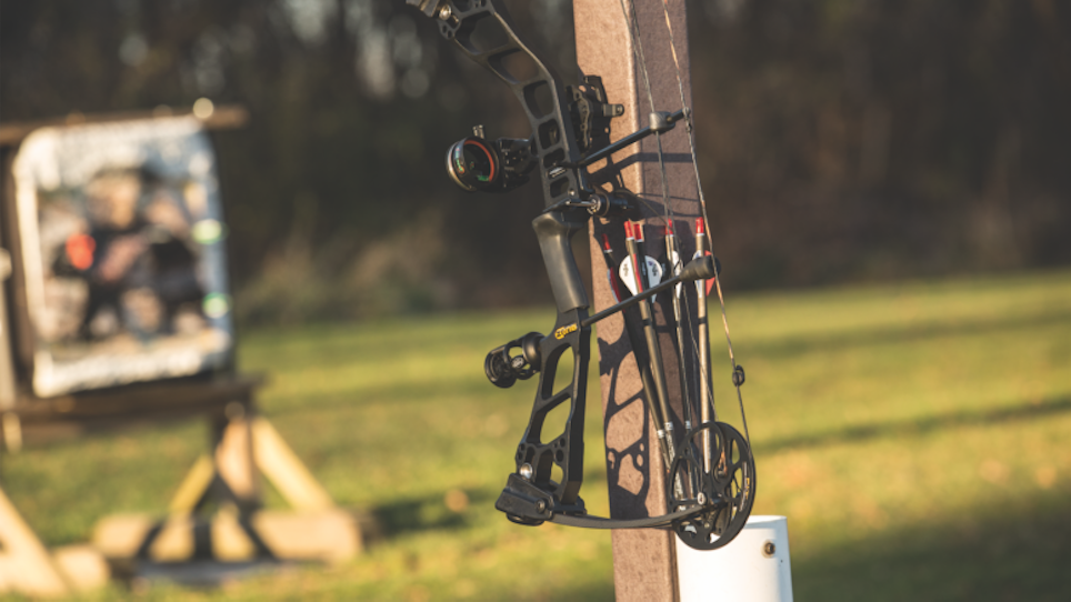 Top 8 budget bows for 2017