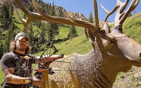 Memorial Day Roadtrip Idea: Mountain Archery Fest in Durango, Colorado