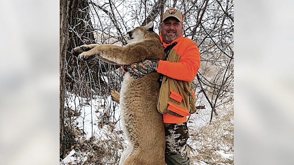Mountain Lion Killed After Charging Pheasant Hunter