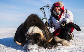 Pope and Young Club Raffle: $19K Muskox Hunt and More!
