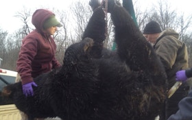 Hunter Kills 693-Pound Bear