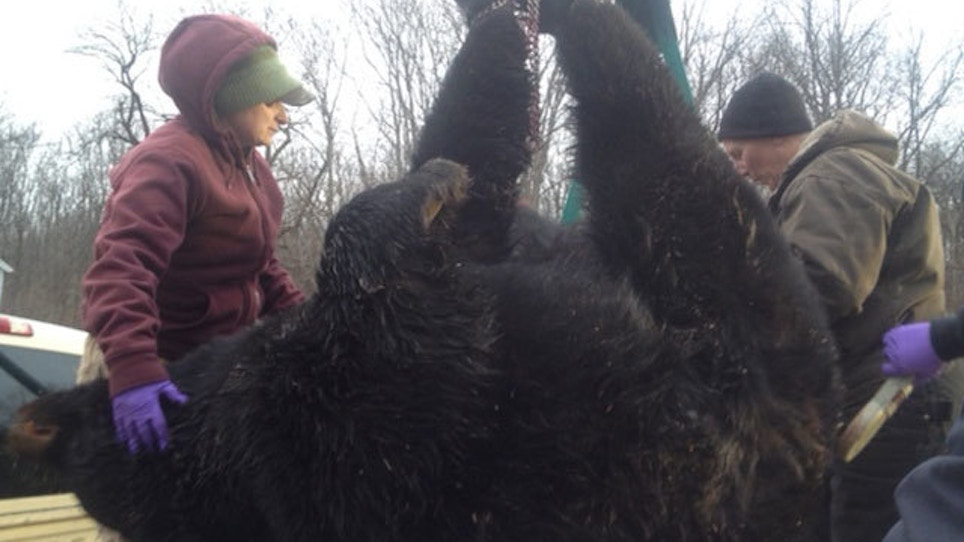 Hunter Kills 693-Pound Bear