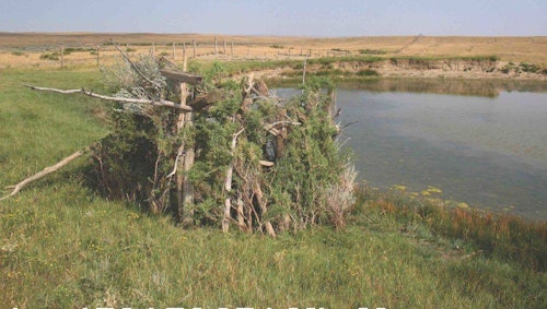 The author constructed this practical natural blind while bowhunting Montana pronghorn, using materials found near an active waterhole. He would later tag a buck from the site. 
