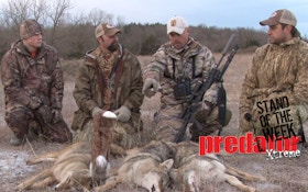 VIDEO: Coyote triple in north central Kansas