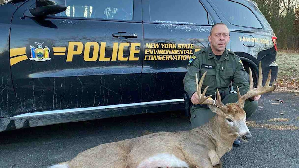 Game Warden Chronicles: Turtle Smuggler Nabbed; 153-Inch Buck Poached