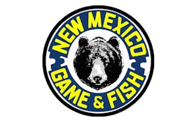 New Mexico Considers Easing Hunt Limits On Bears, Cougars