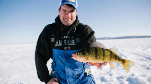 A nice perch caught ice fishing Devils Lake. The lake is the largest natural body of water in North Dakota. Photo: North Dakota Tourism Division