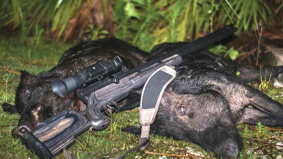 Nighttime Hunting Tips for Wild Hogs