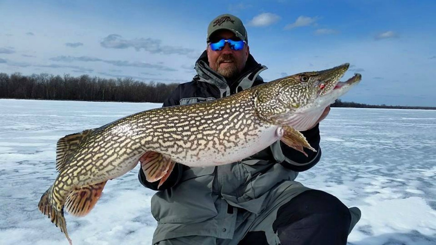 A Beginner's Guide to Catching Northern Pike…