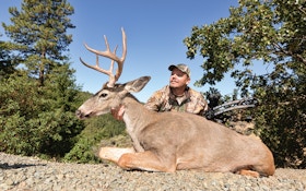 The Columbian Blacktail: A Bowhunter's Bucket List