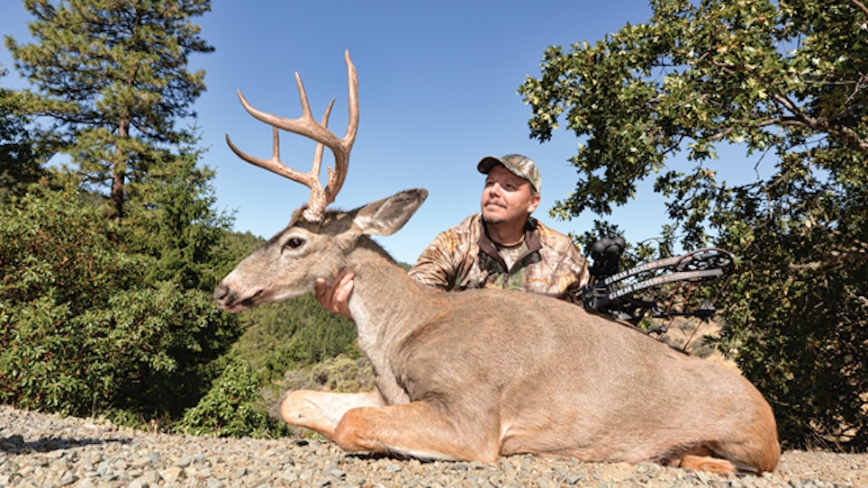 The Columbian Blacktail: A Bowhunter's Bucket List