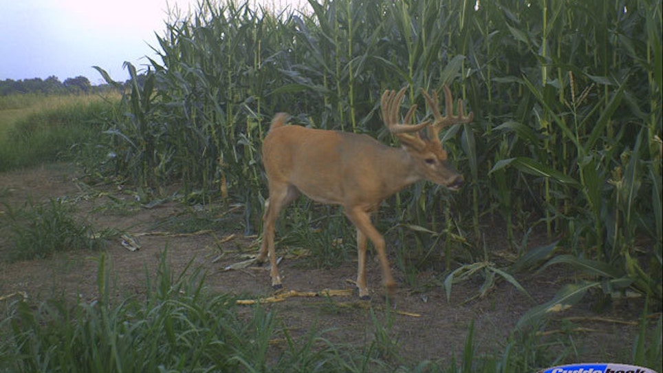 5 Keys To Deer Hunting On Opening Day