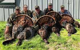 5 Must-Have Traits For The Successful Turkey Hunter