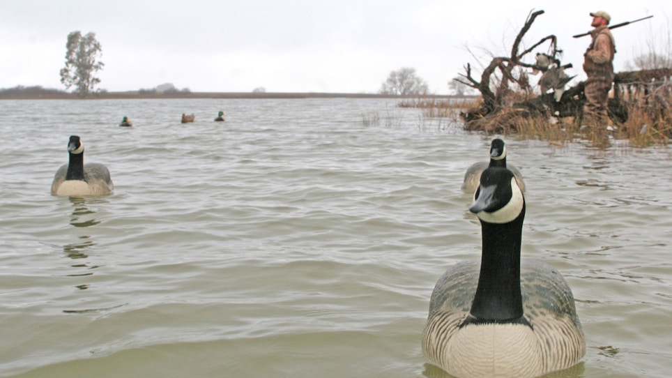 How To Hunt Geese Over Water