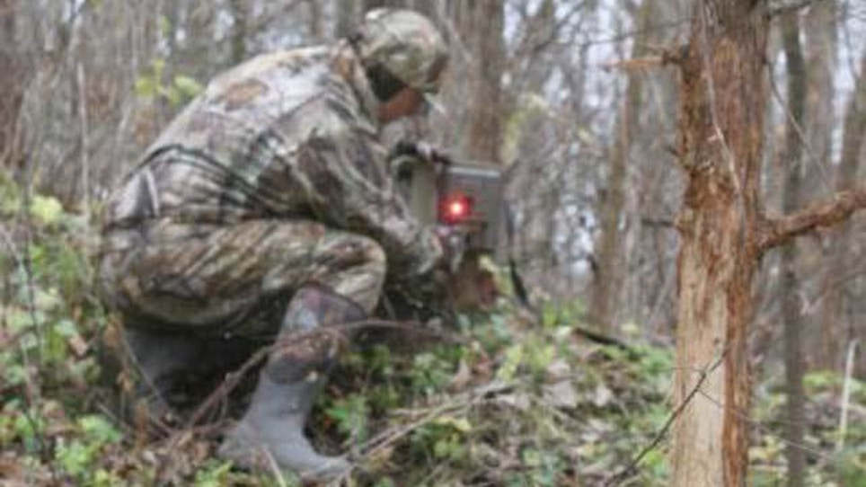 Deer scouting: make your fall hit list