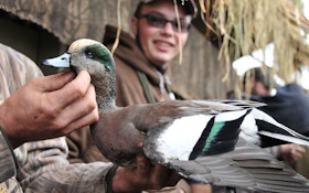 Survey: Last Year's Duck Season Graded B-