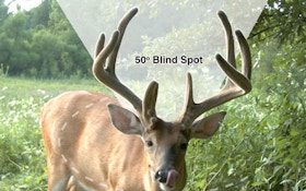 Scientific Facts About How Deer See and Hear