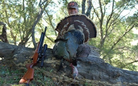 Why You Should Hunt Turkeys With An Airgun
