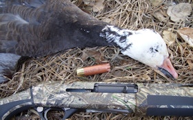 Economy Steel: Inexpensive Shotgun Loads For Waterfowl Hunters