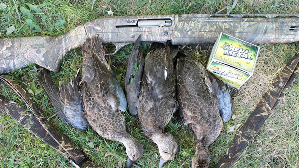 Should You Try A 20-Gauge For Duck Hunting?
