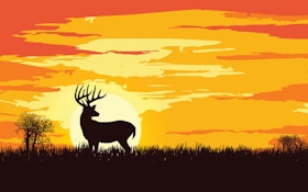 Deer hunting in warm weather