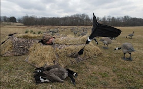 Goose Hunting: Flagging 101