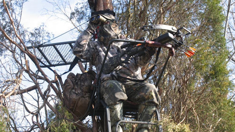 Using crossbows in a treestand